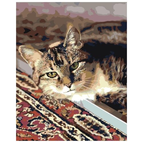 картина по номерам кот под грибом 40x50 см Картина по номерам Кот, 40x50 см