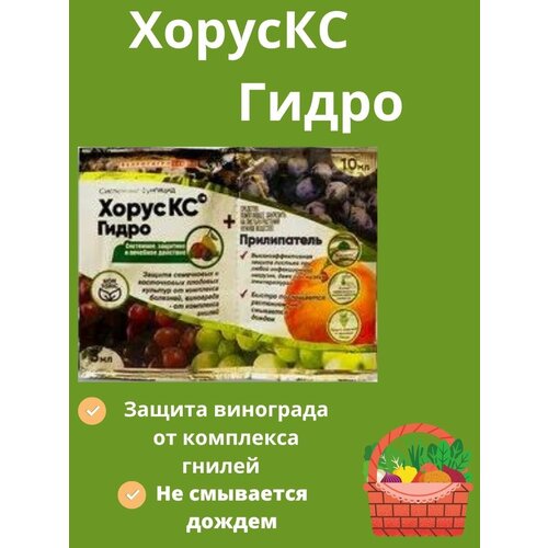 Хорус КС Гидро 3мл+10мл хорус гидро кс 3 мл прилипатель 10 мл х 10 упаковок