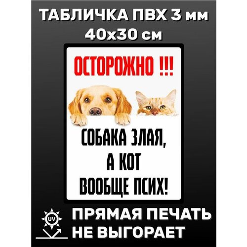 Табличка информационная Осторожно злая собака 40х30 см