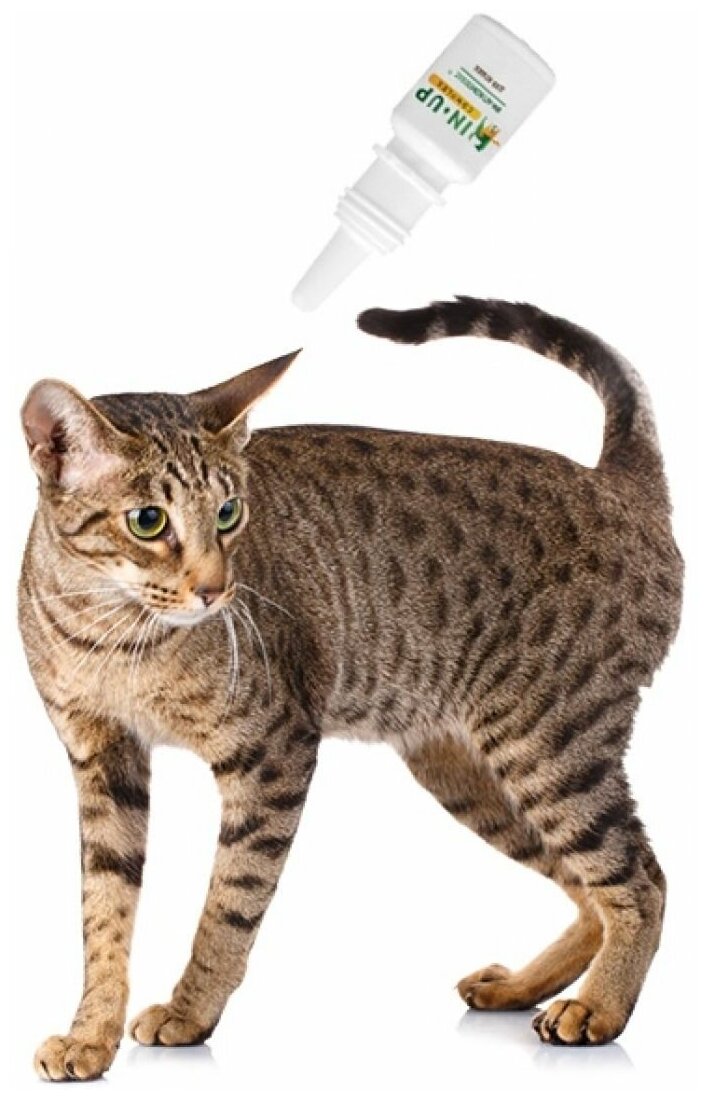 Ин-Ап Комплекс раствор (капли) от блох, клещей, вшей и гельминтов для кошек, 1 мл