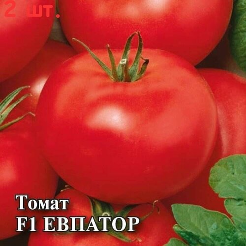 Семена Томат Евпатор F1, красный , 12 шт, 4г (2 шт.)