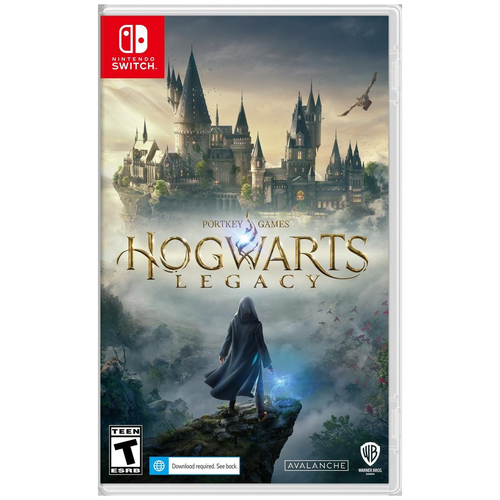 Игра Hogwarts Legacy Standard Edition для Nintendo Switch, картридж игра fate extella the umbral star standard edition для nintendo switch картридж