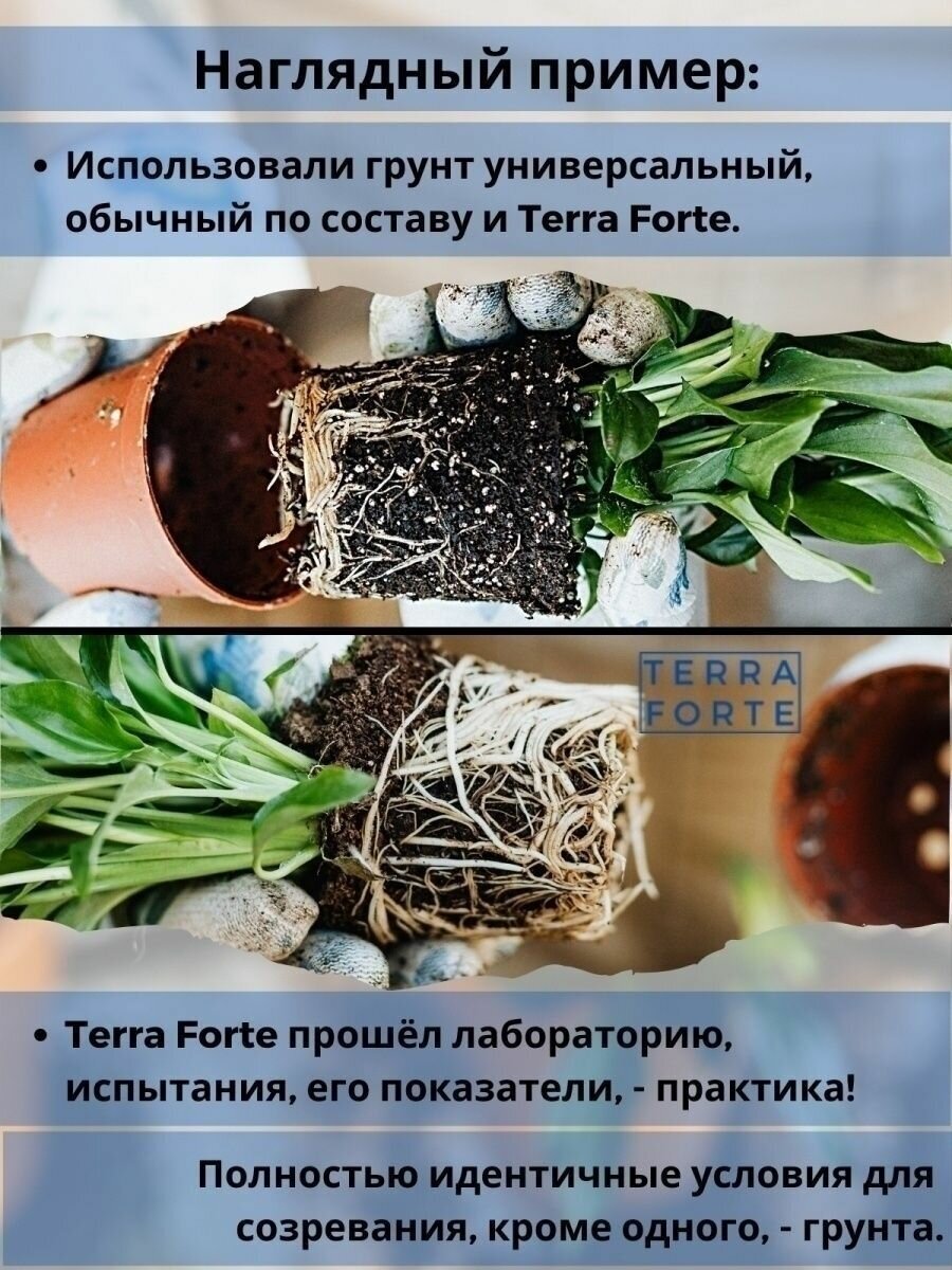 Грунт для цветов, рассады Terra Forte, Терра Форте, 10л - фотография № 5