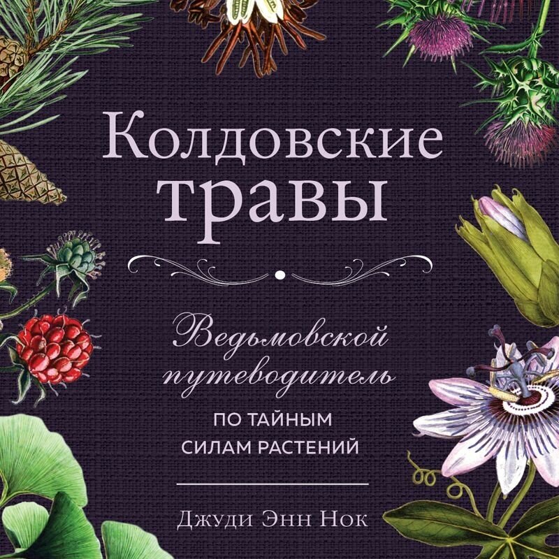 Колдовские травы Ведьмовской путеводитель по тайным силам растений