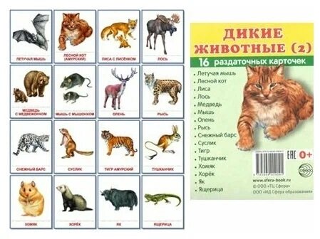 Дикие животные (2). Раздаточные карточки (16 штук) - фото №2