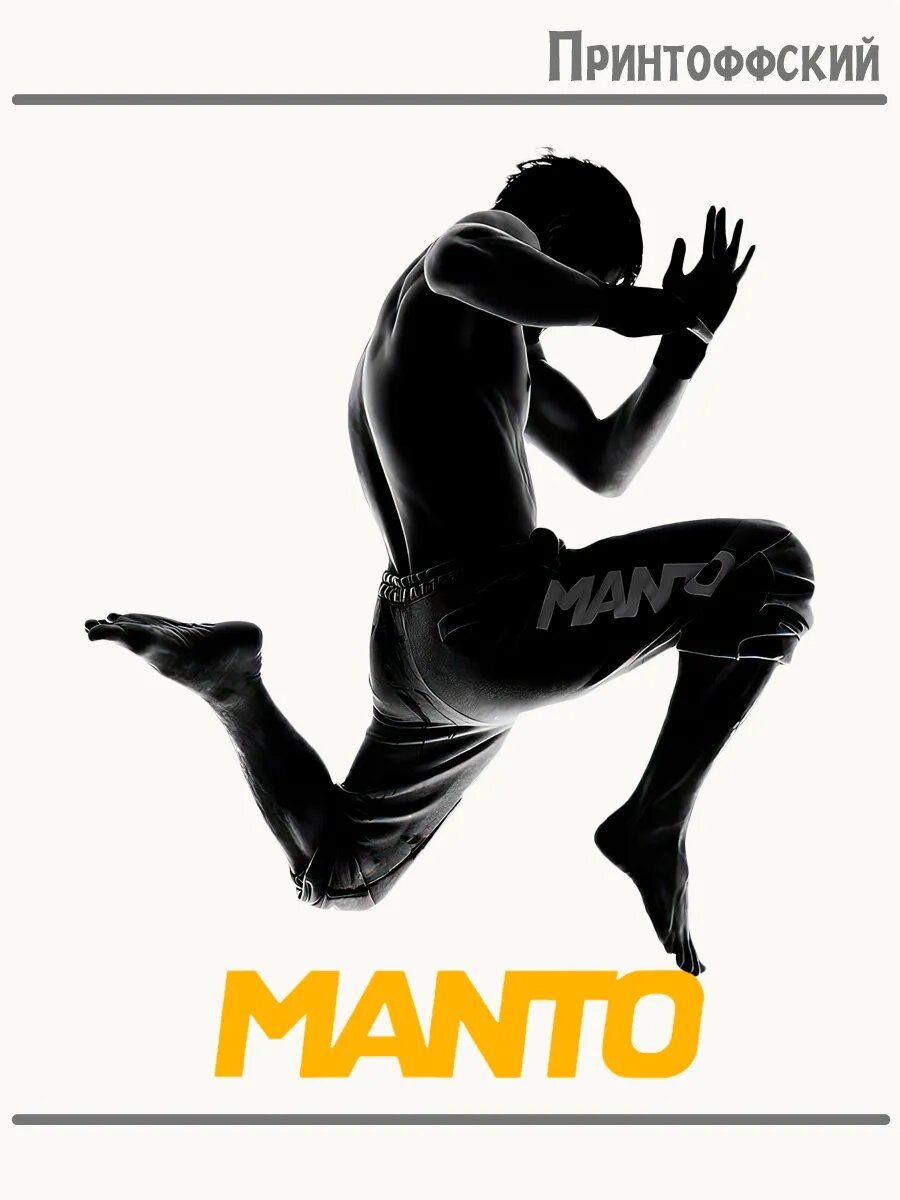 Термонаклейка для одежды и аксессуаров DTF-печать manto манто