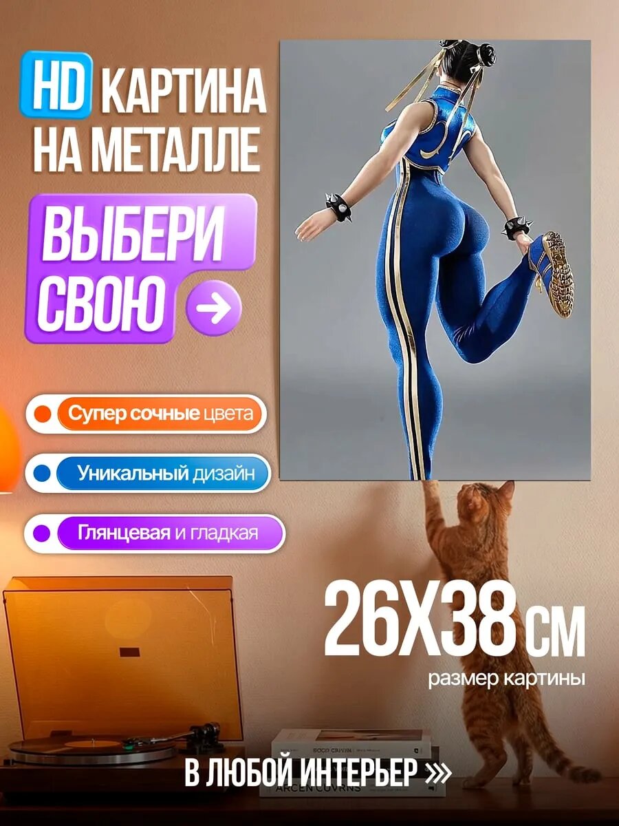 Картина на HD металле Чунь Ли боец