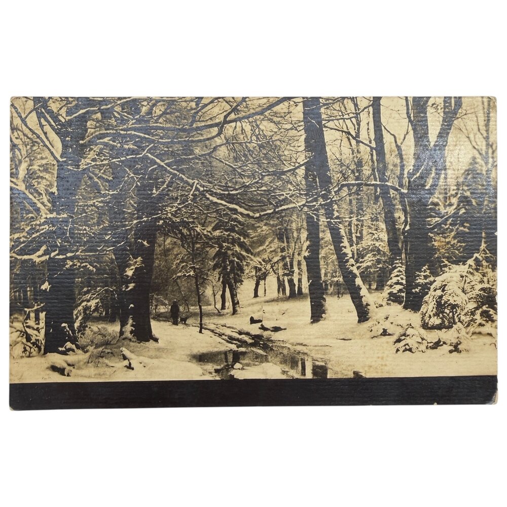 Почтовая открытка "Зимний день в парке" 1900-1917 гг. Российская Империя