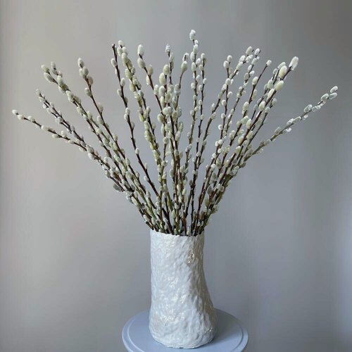 Изображение товара Премиальная верба голландская бархатистая, 25 штук. Veresk 909