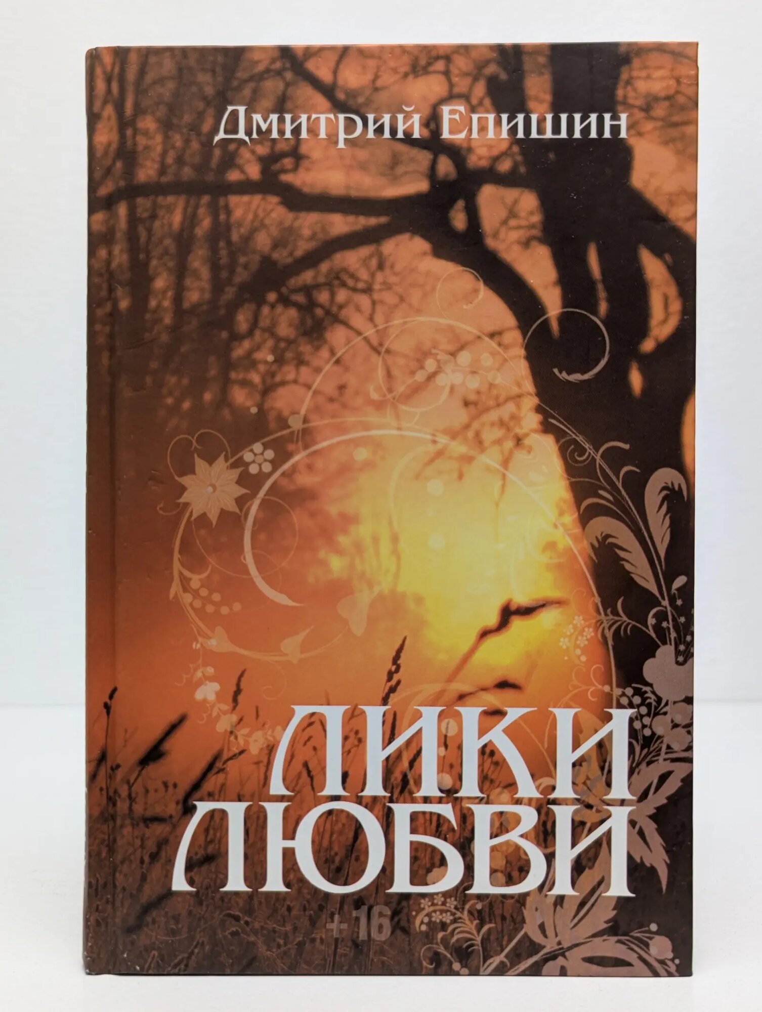 Лики любви Епишин Дмитрий Васильевич 2014