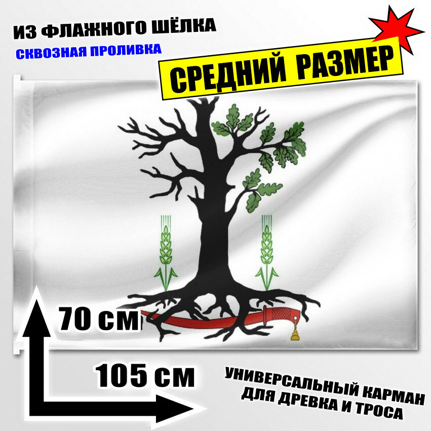 Флаг средний Стародубского района 105x70 см