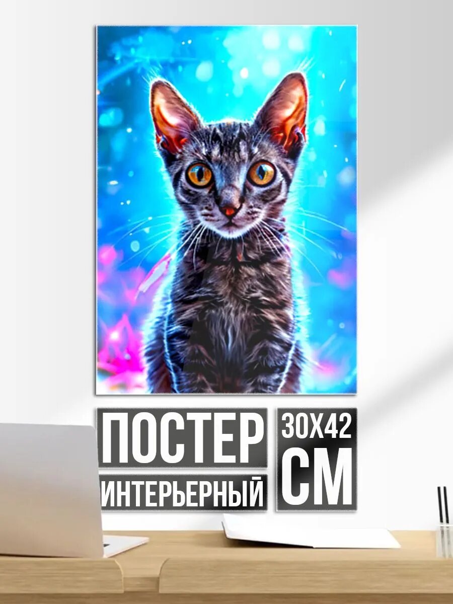 Постер на стену Корниш-рекс в искрах
