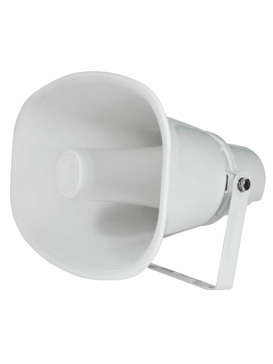 Громкоговоритель TSo-HW30