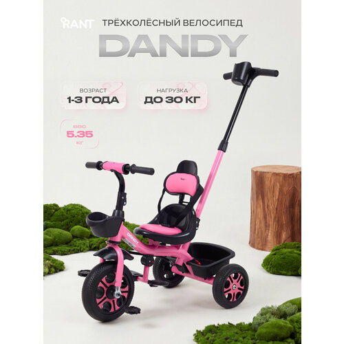 фото Велосипед детский трехколесный rant basic rb252 dandy, pink (розовый)