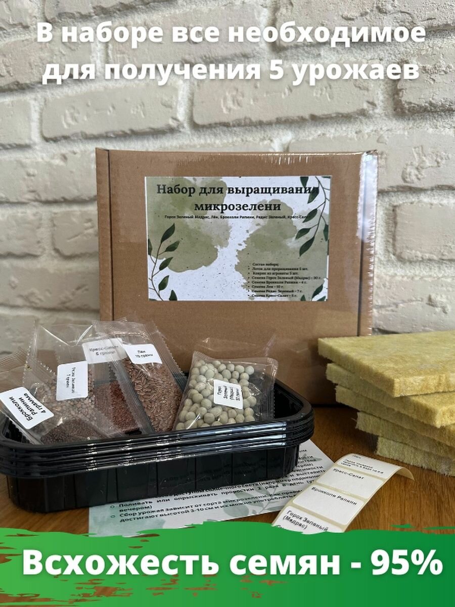 Набор для выращивания микрозелени — фото 1
