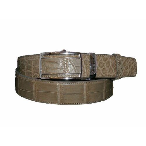 фото Ремень , размер 122, серый нет бренда