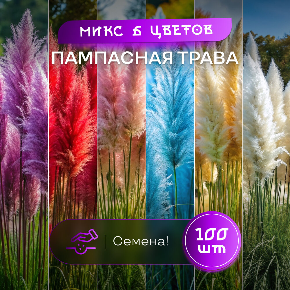 Семена пампасной травы SVN seeds "Микс",6 цветов, 100 семян