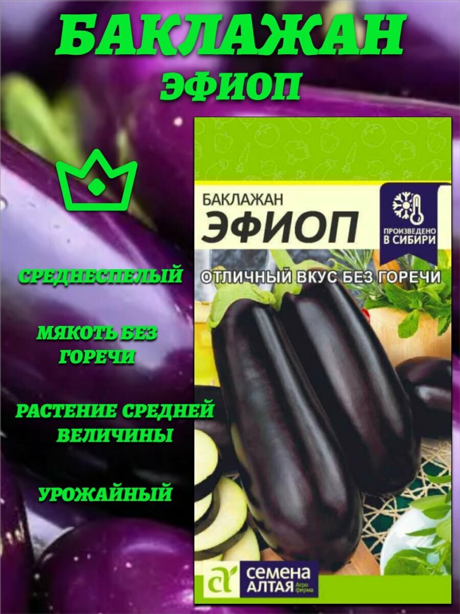 Баклажан Эфиоп (0,2гр). Обильное плодоношение. Семена Алтая.