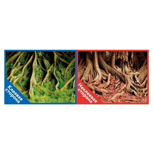Задний фон Prime Корни с мохом/Корни с листьями 100х50 см