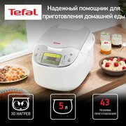 Мультиварка со сферической чашей Tefal RK816E32, 750 Вт, 43 программы, ручной режим, таймер, серебристый