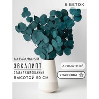 Сухоцвет Эвкалипт стабилизированный, Сухоцветы для декора ARANTA, Букет 50 см, 120 гр