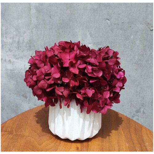 Гортензия Стабилизированная в Бетонном кашпо собственного производства