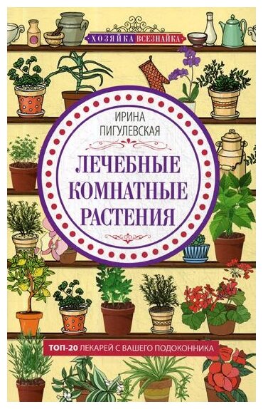 Лечебные комнатные растения. ТОП­20 лекарей с вашего подоконника - фото №1