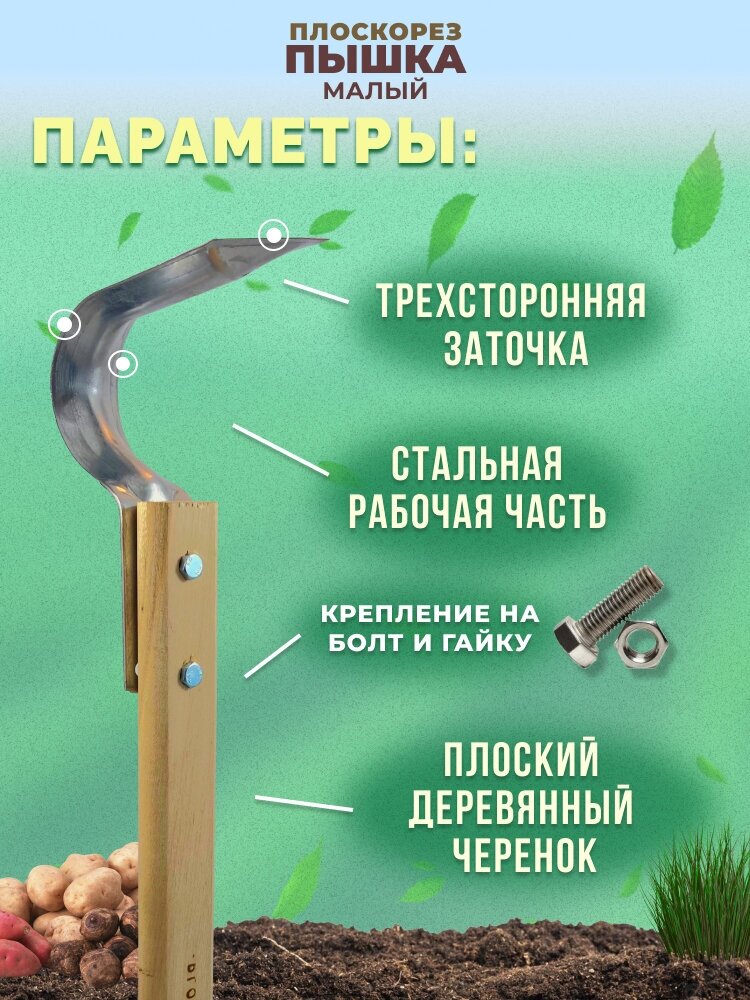 Плоскорез "Пышка" малый с черенком - фотография № 2