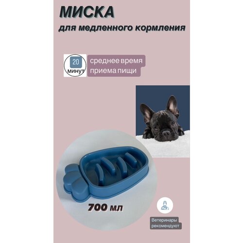 Миска для медленного кормления