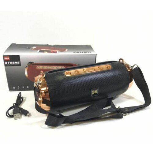 Портативная колонка XTREME SK12 187000₽