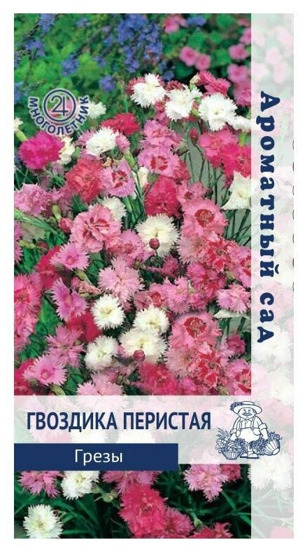 Семена ПОИСК Ароматный сад Гвоздика перистая Грезы 0.1 г