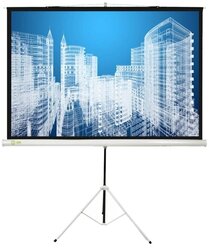 Рулонный матовый белый экран cactus Triscreen CS-PST-104x186