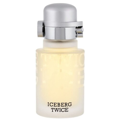 Iceberg туалетная вода Twice pour Homme, 75 мл, 325 г iceberg туалетная вода twice pour homme 125 мл