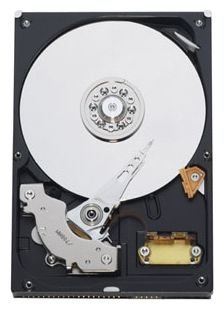 Жесткий диск Western Digital WD Blue 250 ГБ WD2500AAJB