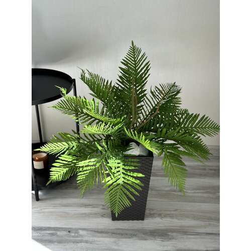 Папоротник искусственный в горшке. Искусственная Пальма в пластиковом напольном кашпо ротанг