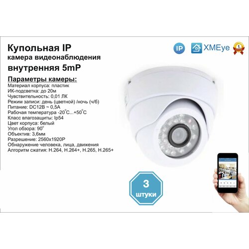 3шт DVW300IP5MP Внутренняя IP камера 5мП с ИК до 20м 997000₽