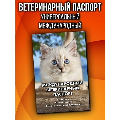 Ветеринарный паспорт для котят невская маскарадная международный