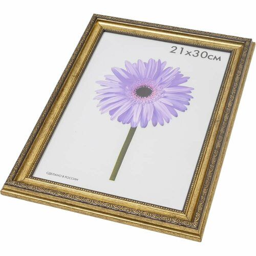 Пластиковая рамка ООО Изометрика Dorothy