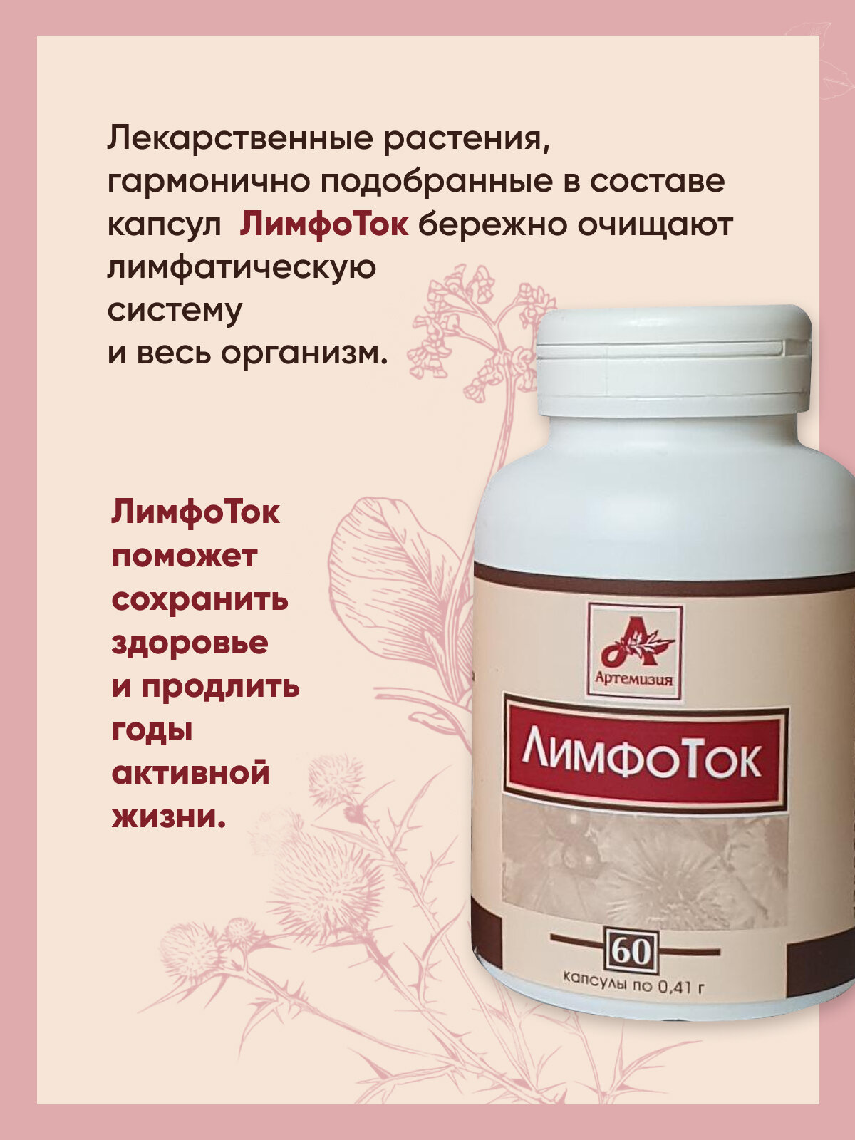 БАД Фитокапсулы "Лимфоток" капсулы 60 по 410мг / добавка для иммунитета / устранения синдрома хронической усталости / контроля веса / очистки лимфатической системы — фото 1