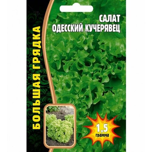 Салат Одесский Кучерявец 1,5г /Большая грядка