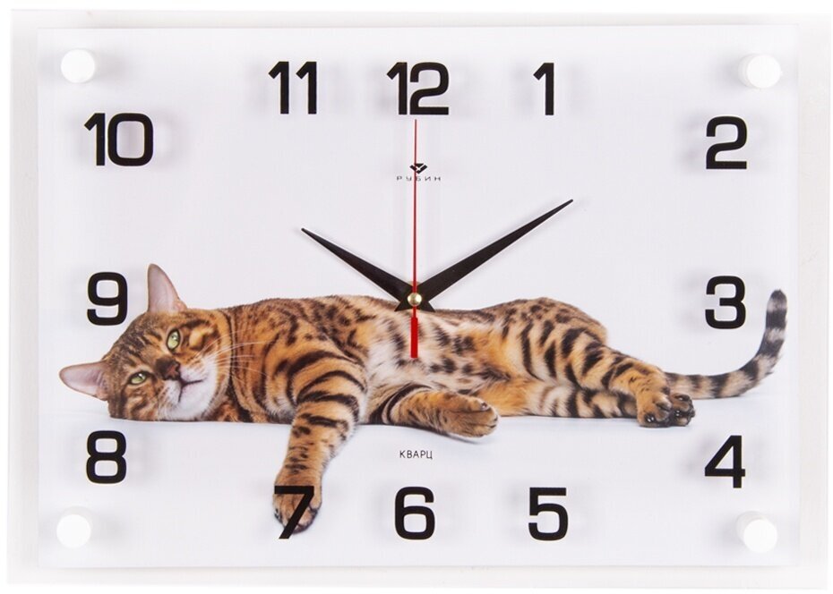 Часы настенные Рубин "Бенгальский кот" (2535-096)