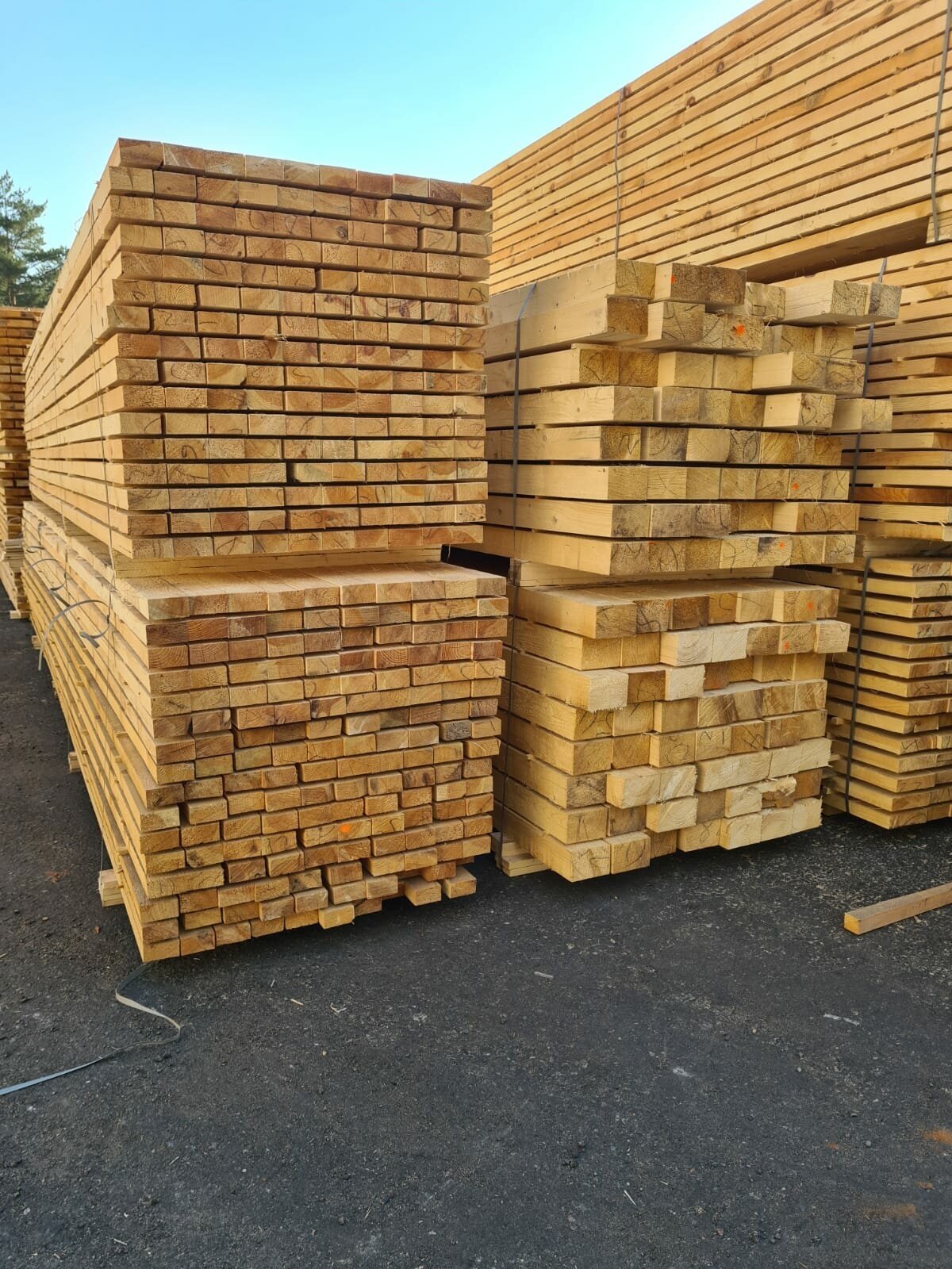 Обрезные доски Arsenal-wood 40х100х6000 ГОСТ