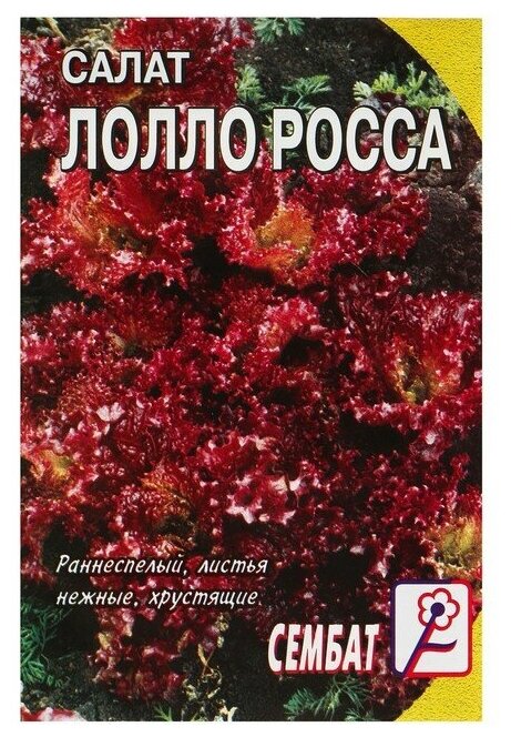 Семена Салат "Лолло-росса", 0,5 г