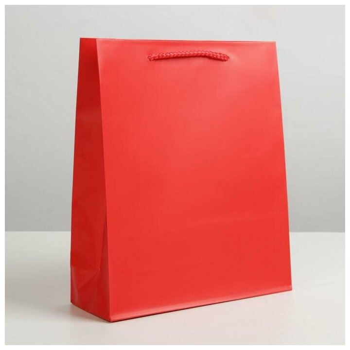 Пакет подарочный ламинированный, упаковка, «Красный», ML 21 х 25 х 8 см