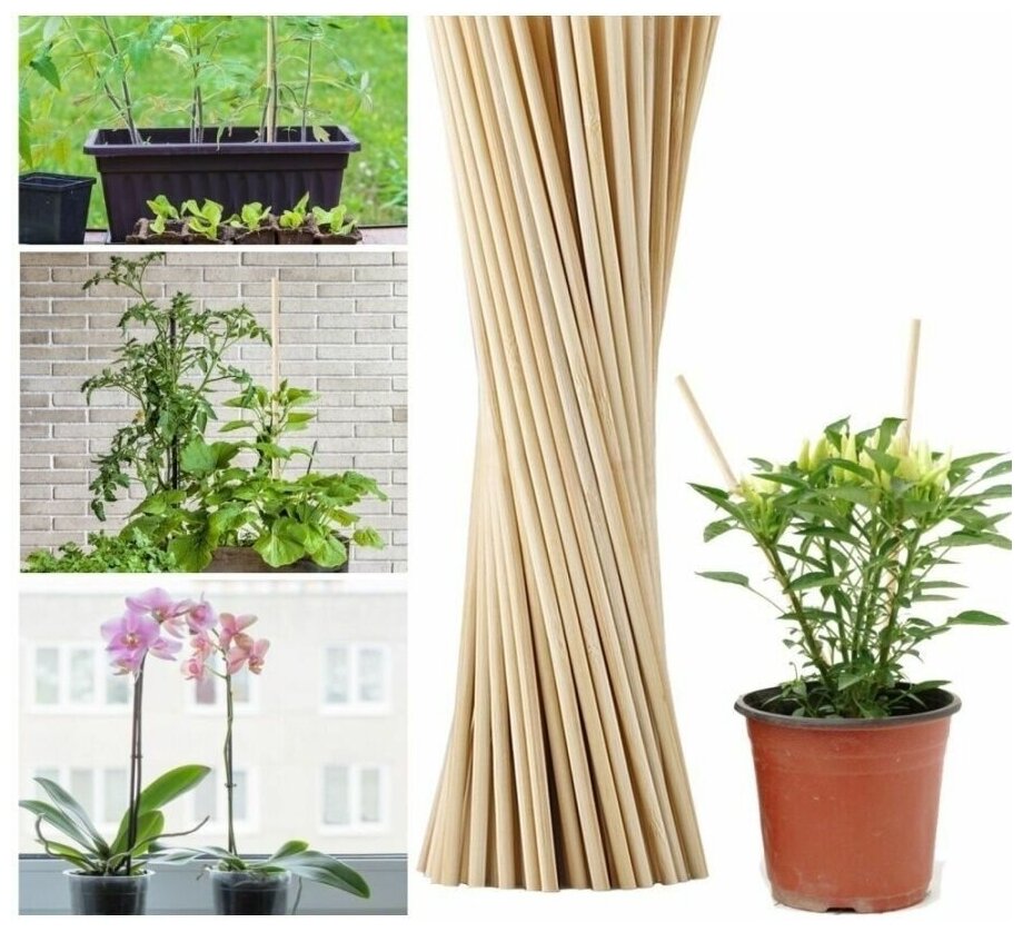Опора для растений и рассады из шлифованного бамбука 40 см/ подборка/ палочки для рукоделия/шпажки