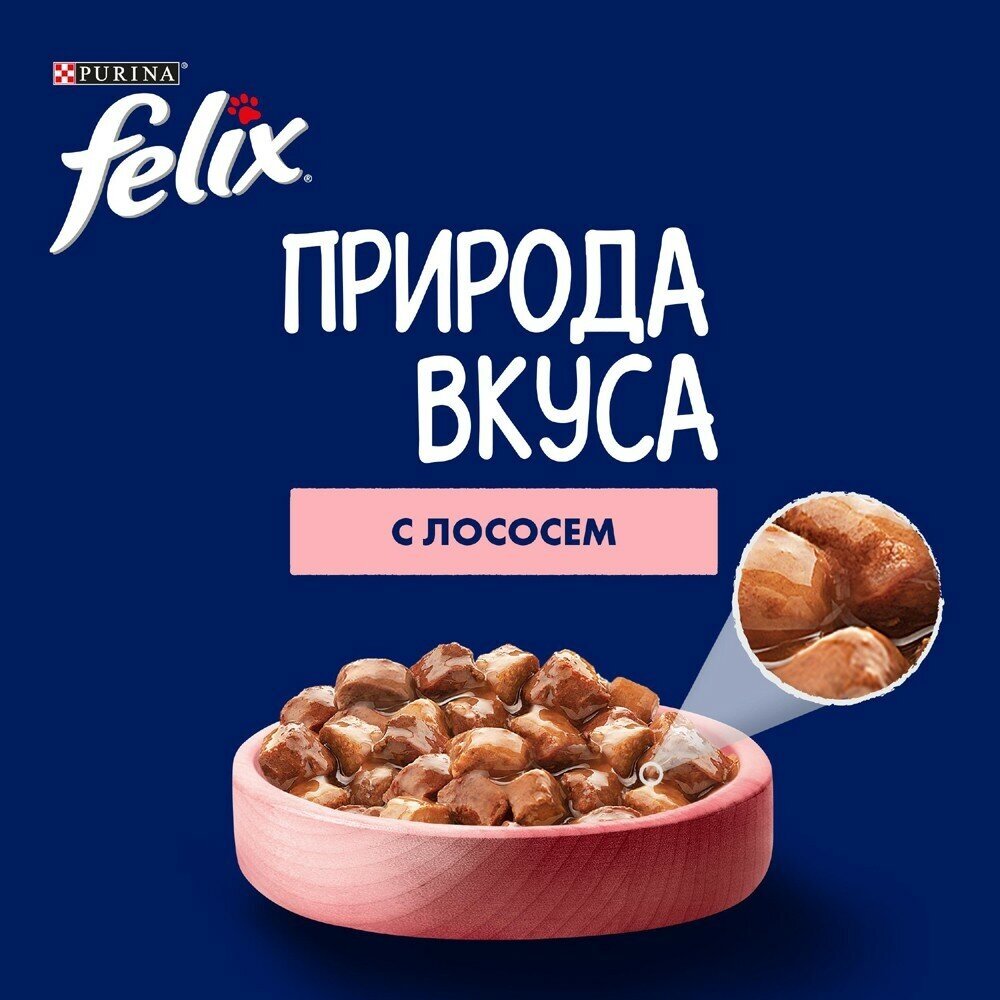 Felix Природа Вкуса влажный корм для взрослых кошек, с лососем в соусе (26шт в уп) 75 гр - фотография № 5