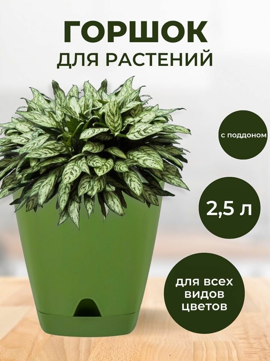 Горшок для растений и цветов 2,5л