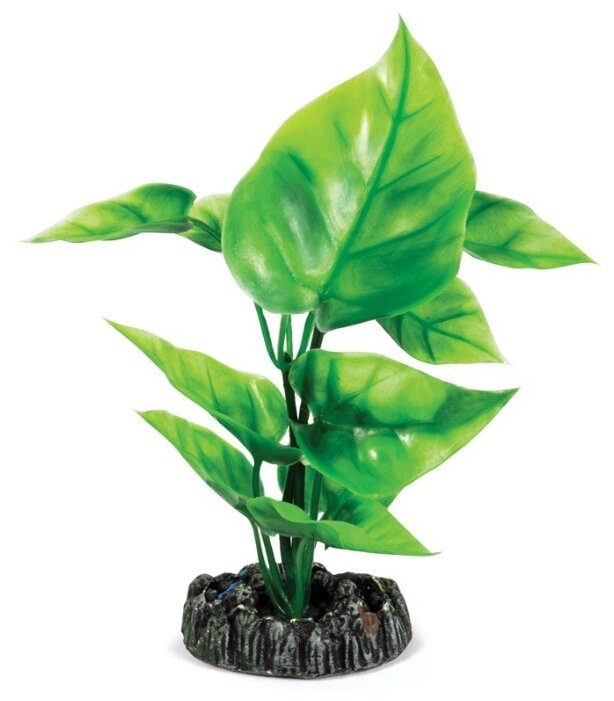 Растение LAGUNA "Спатифилум", 200мм