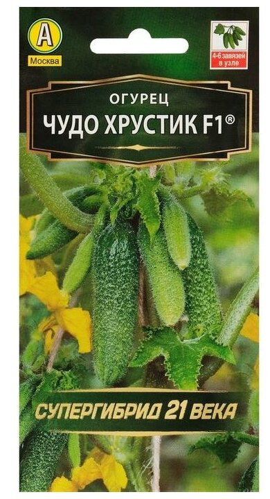Семена Огурец "Чудо хрустик" F1, партенокарпический, 10 шт.