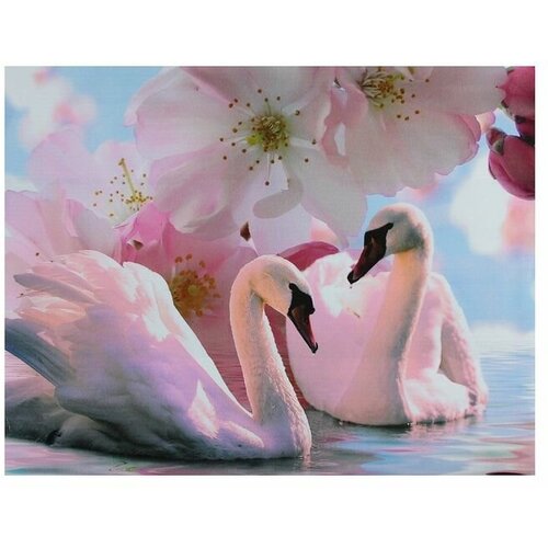 Картина на холсте Лебеди под цветами 30х40 см 882₽